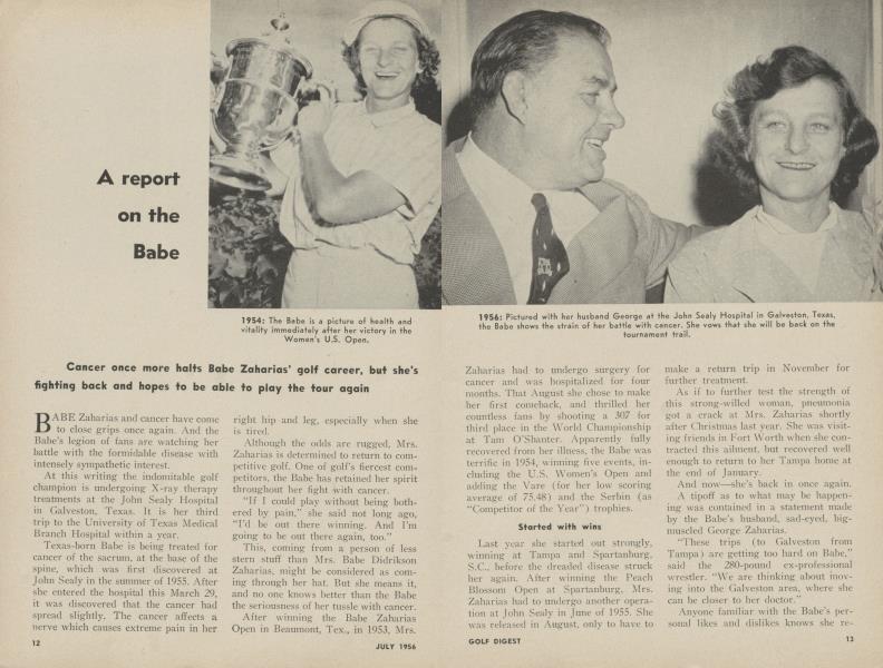 A report on the Babe