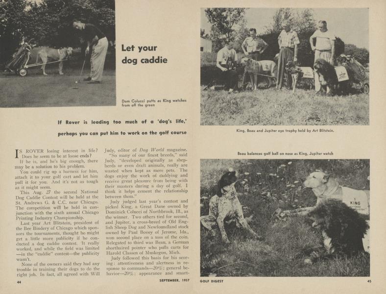 Let your dog caddie