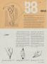 Page: - 78 | Golf Digest