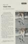 Page: - 59 | Golf Digest