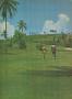 Page: - 62 | Golf Digest