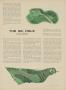 Page: - 29 | Golf Digest
