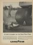 Page: - 2 | Golf Digest