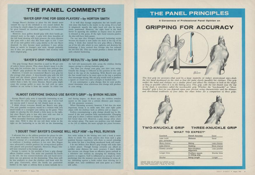 THE PANEL COMMENTS