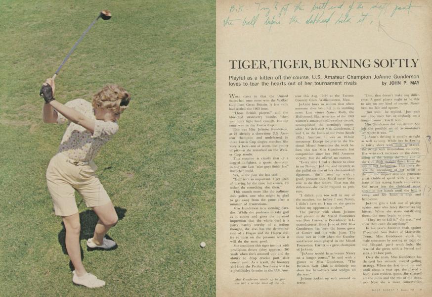 TIGER, TIGER, BURNING SOFTLY
