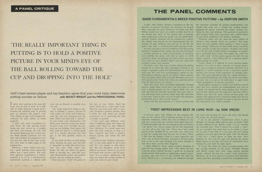 THE PANEL COMMENTS