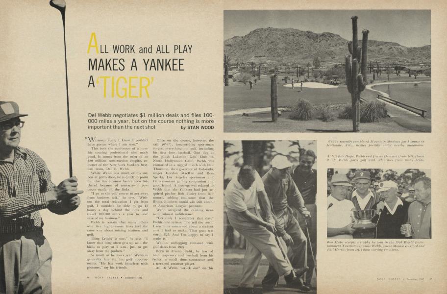 ALL WORK and ALL PLAY MAKES A YANKEE A TIGER'