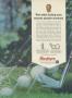 Page: - 101 | Golf Digest