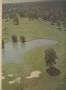 Page: - 37 | Golf Digest
