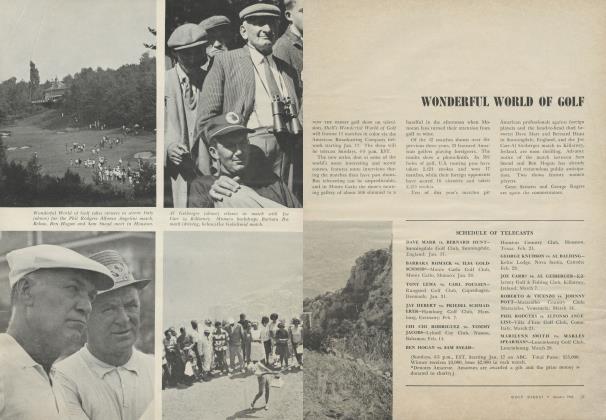 WONDERFUL WORLD OF GOLF