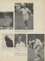 Page: - 35 | Golf Digest