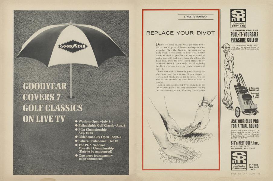 REPLACE YOUR DIVOT