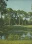 Page: - 26 | Golf Digest