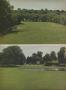 Page: - 22 | Golf Digest