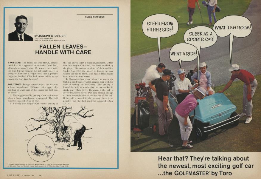 FALLEN LEAVES-HANDLE WITH CARE