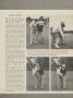 Page: - 27 | Golf Digest