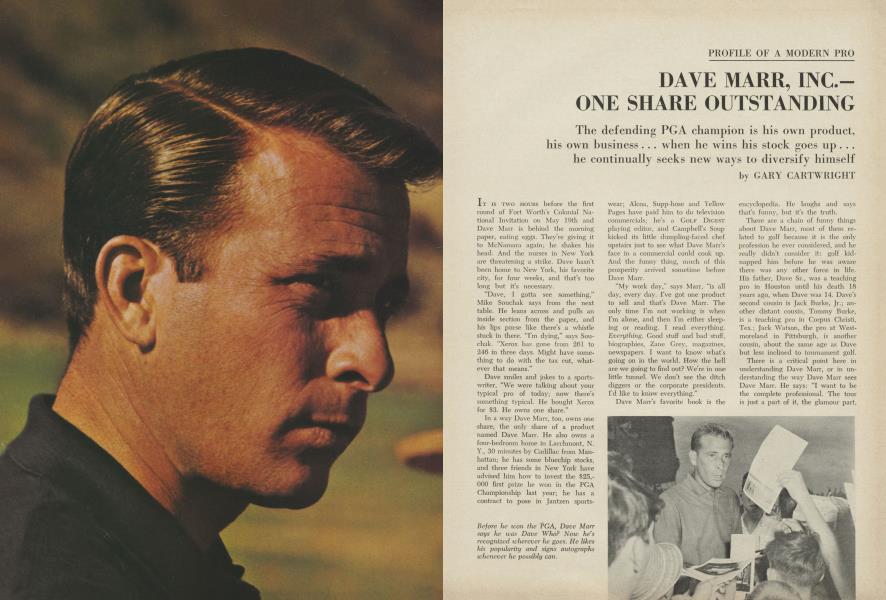 DAVE MARR, INC.—ONE SHARE OUTSTANDING