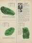 Page: - 45 | Golf Digest