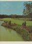 Page: - 36 | Golf Digest