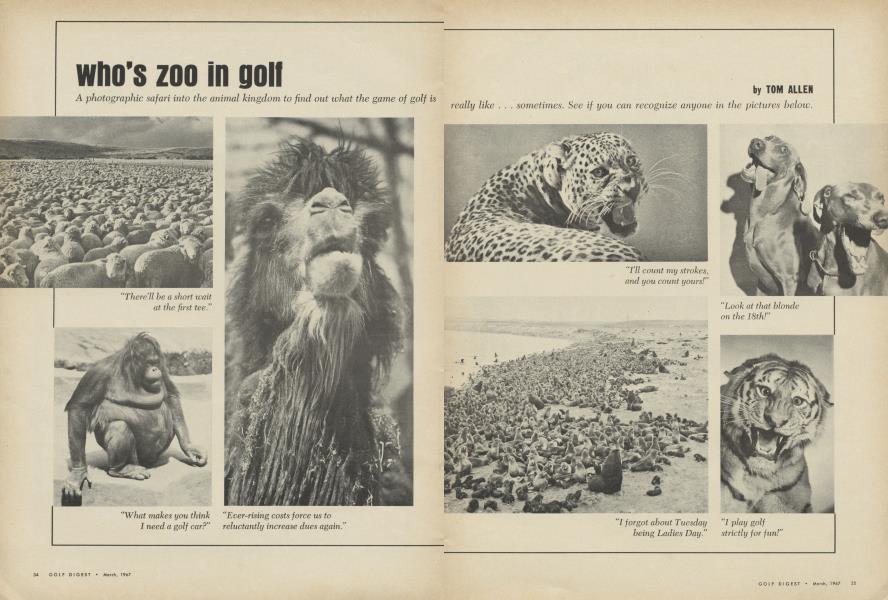 who’s zoo in golf
