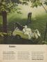 Page: - 51 | Golf Digest