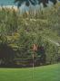 Page: - 41 | Golf Digest
