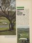 Page: - 31 | Golf Digest