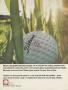 Page: - 81 | Golf Digest