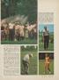 Page: - 31 | Golf Digest