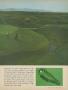 Page: - 51 | Golf Digest
