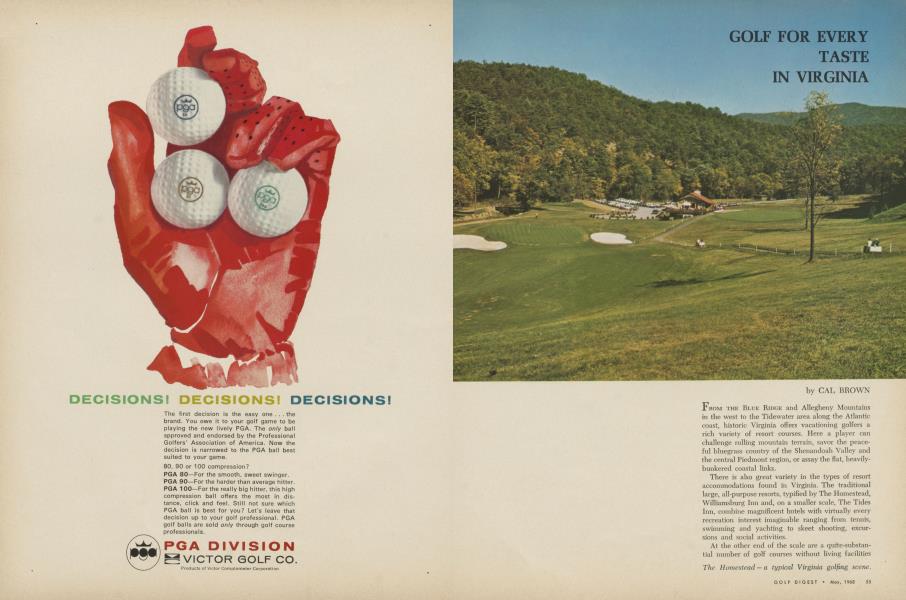 GOLF FOR EVERY TASTE IN VIRGINIA