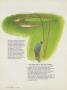 Page: - 40 | Golf Digest