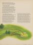 Page: - 31 | Golf Digest