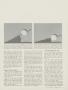 Page: - 27 | Golf Digest