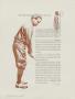 Page: - 28 | Golf Digest