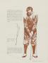 Page: - 29 | Golf Digest