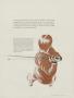 Page: - 31 | Golf Digest