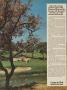 Page: - 67 | Golf Digest