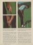 Page: - 32 | Golf Digest