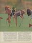 Page: - 34 | Golf Digest