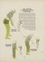 Page: - 43 | Golf Digest