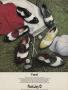 Page: - 37 | Golf Digest
