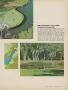 Page: - 39 | Golf Digest
