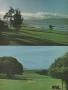 Page: - 25 | Golf Digest