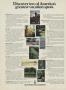 Page: - 12 | Golf Digest