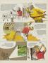 Page: - 47 | Golf Digest