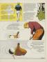 Page: - 49 | Golf Digest
