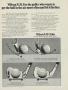 Page: - 1 | Golf Digest