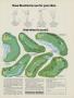 Page: - 27 | Golf Digest