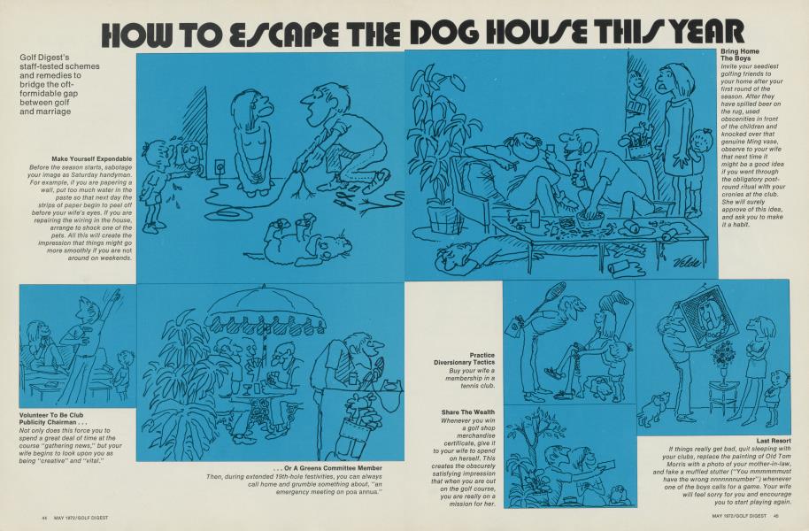 How to escape the dog house this year